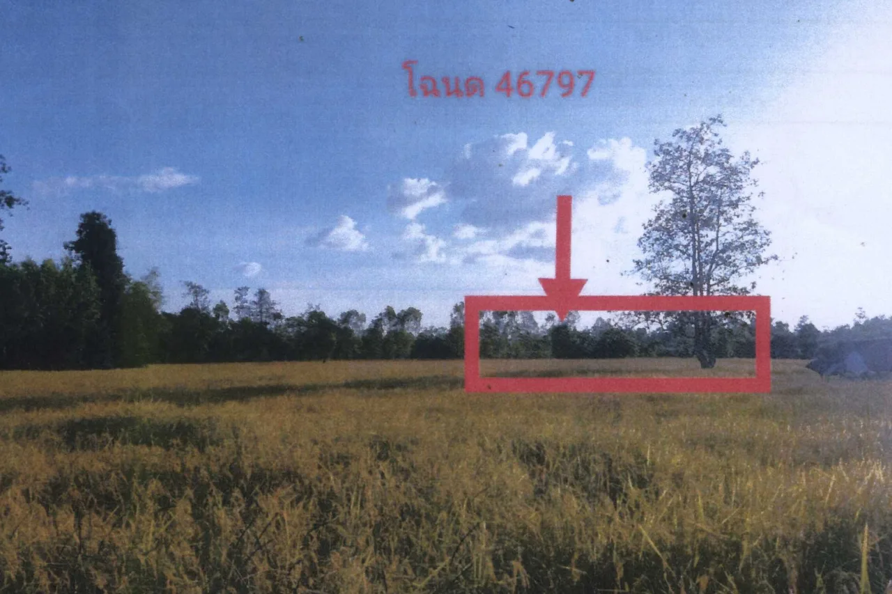 ขายทอดตลาด ที่ดินว่างเปล่า ต.น้ำคำใหญ่ อ.เมืองยโสธร จ.ยโสธร