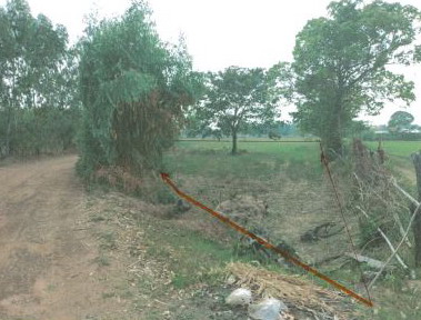 ขายทอดตลาด ที่ดินว่างเปล่า ต.หนองแคน อ.ปทุมรัตต์ จ.ร้อยเอ็ด