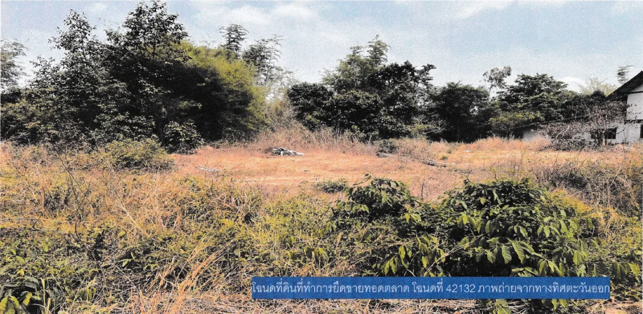 ขายทอดตลาด ที่ดินว่างเปล่า จ.ยโสธร