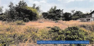 รูปทรัพย์ 1