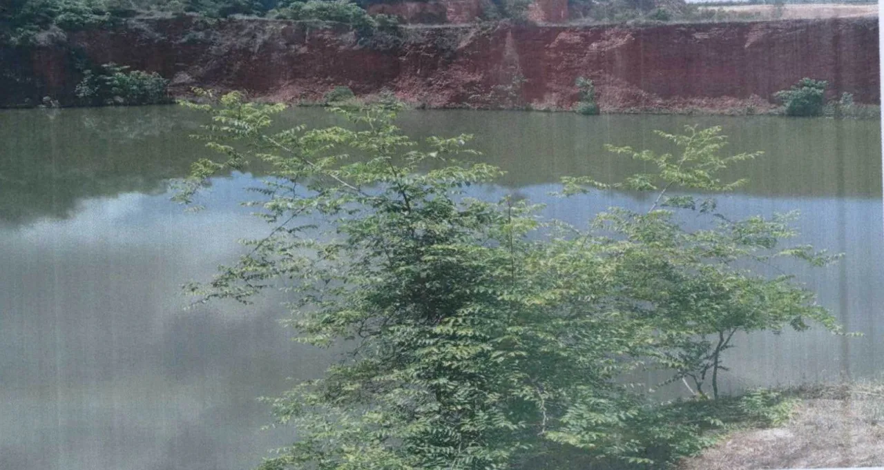 ขายทอดตลาด ที่ดินว่างเปล่า ต.ทุ่งหลวง อ.ปากท่อ จ.ราชบุรี