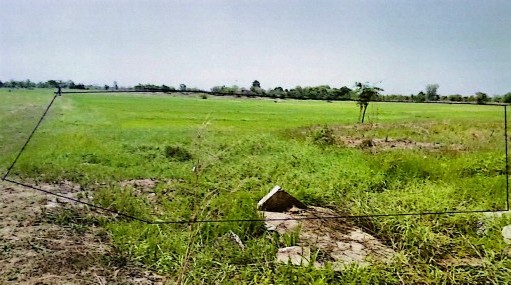ขายทอดตลาด ที่ดินว่างเปล่า ต.นาดี อ.ยางตลาด จ.กาฬสินธุ์