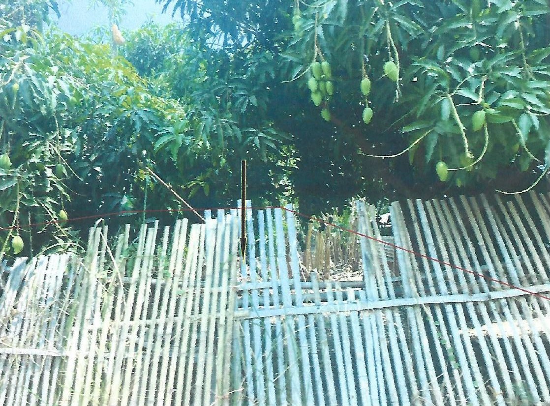 ขายทอดตลาด ที่ดินว่างเปล่า ต.หนองหิน อ.เมืองยโสธร จ.ยโสธร