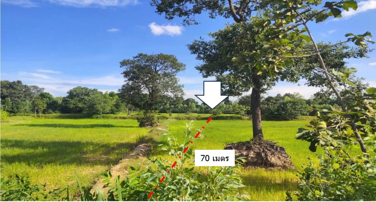 ขายทอดตลาด ที่ดินว่างเปล่า ต.น้ำคำใหญ่ อ.เมืองยโสธร จ.ยโสธร