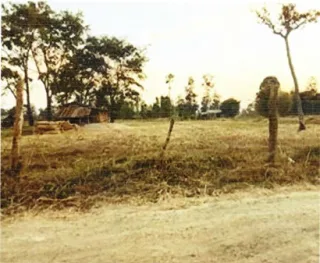 รูปทรัพย์ 1