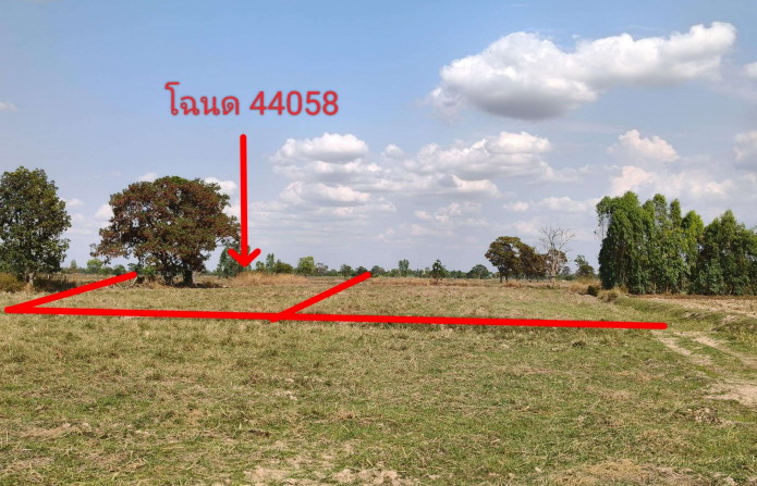 ขายทอดตลาด ที่ดินว่างเปล่า ต.สระบัว อ.ปทุมรัตต์ จ.ร้อยเอ็ด