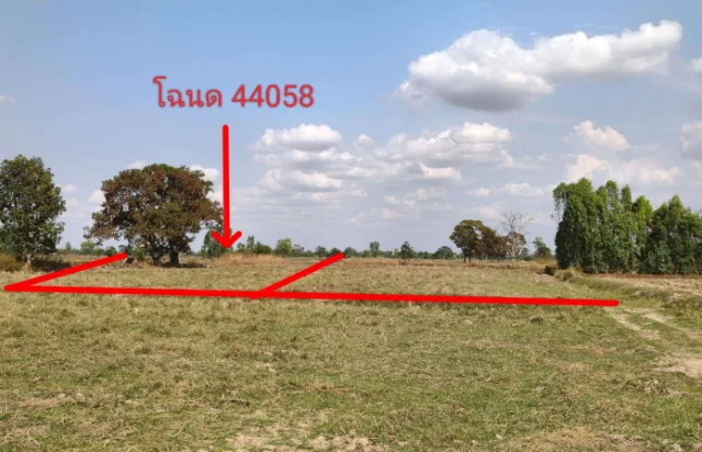 ขายทอดตลาด ที่ดินว่างเปล่า ต.โนนสวรรค์ อ.ปทุมรัตต์ จ.ร้อยเอ็ด