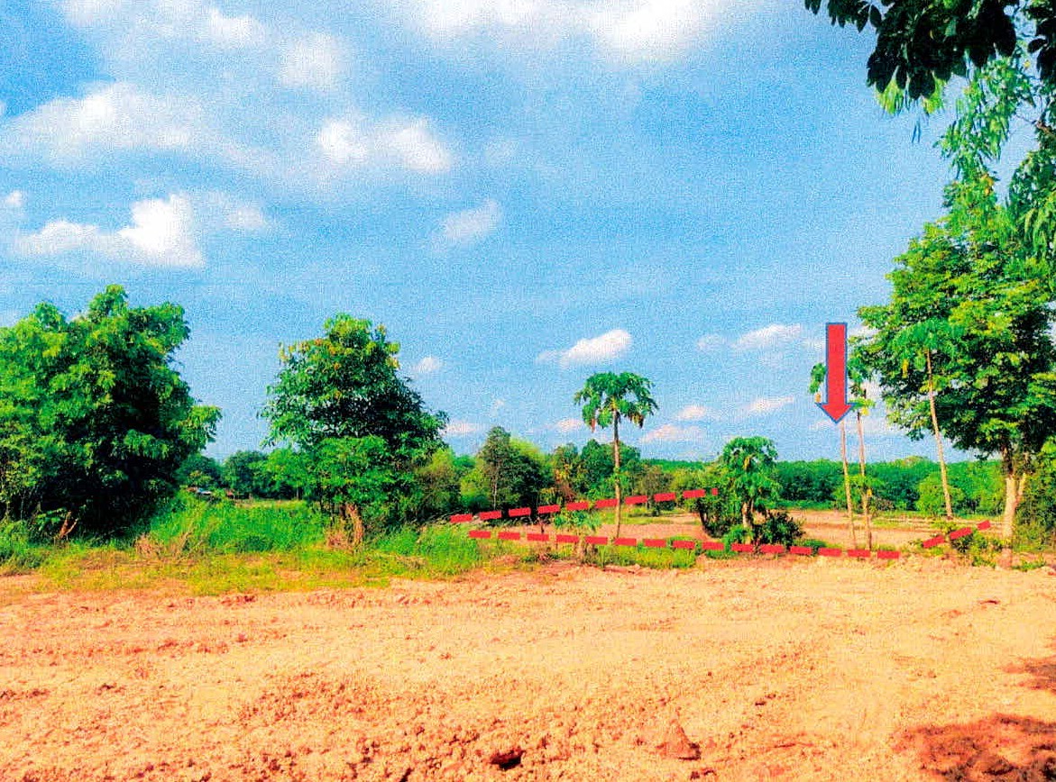 ขายทอดตลาด ที่ดินว่างเปล่า ต.กุดแห่ อ.เลิงนกทา จ.ยโสธร
