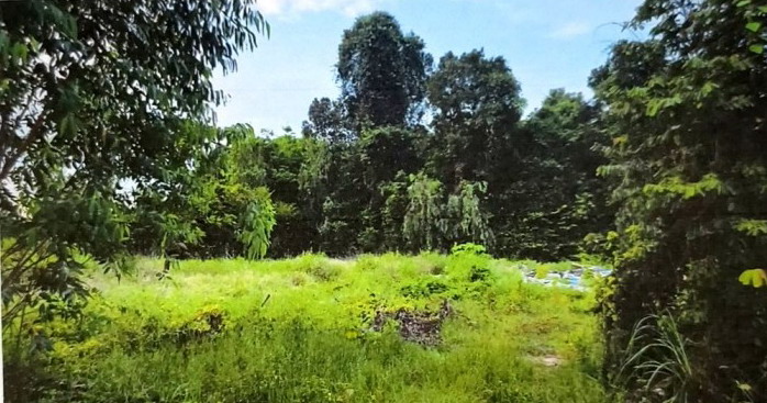 ขายทอดตลาด ที่ดินว่างเปล่า ต.โพธิ์ไทร อ.ป่าติ้ว จ.ยโสธร