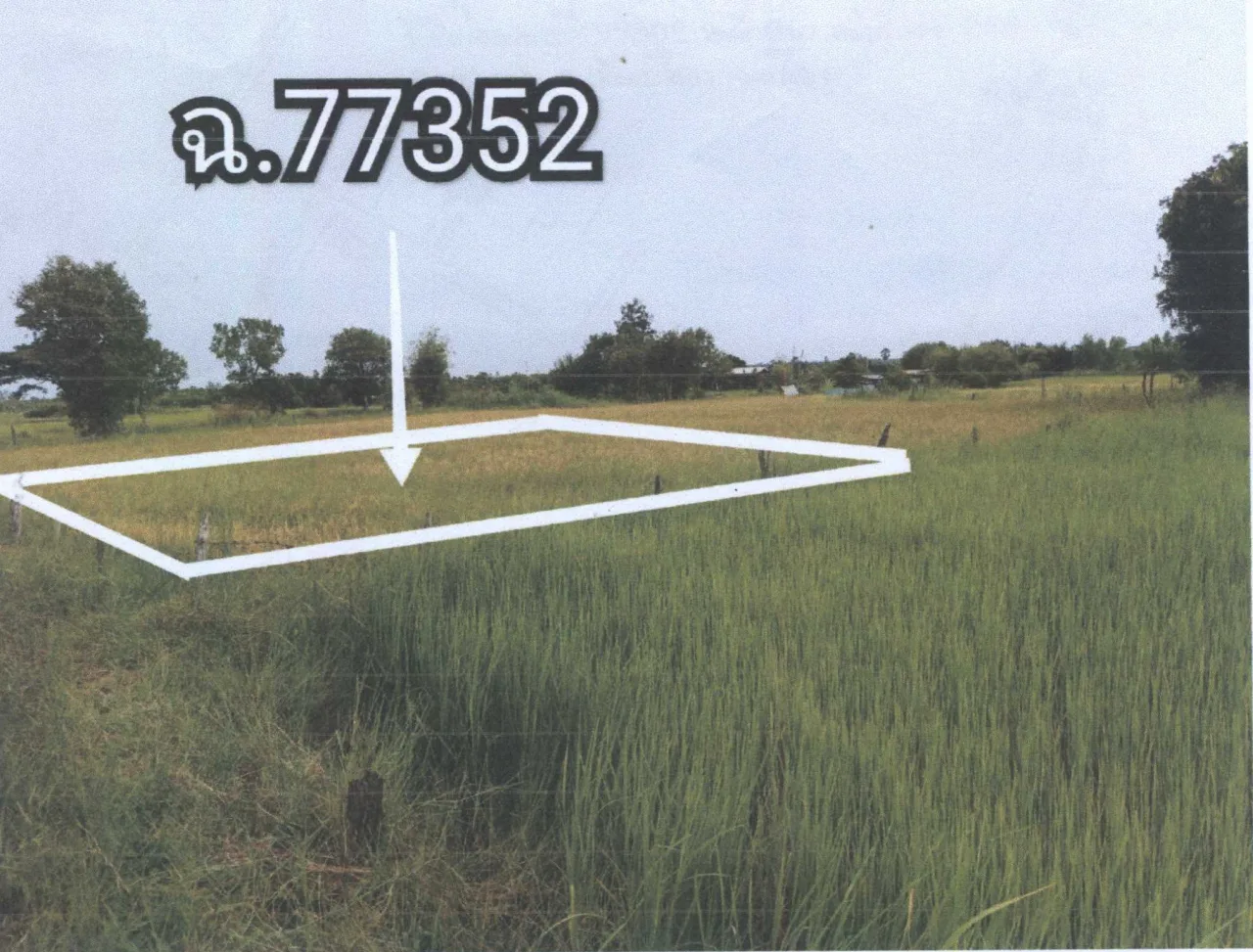 ขายทอดตลาด ที่ดินว่างเปล่า ต.หนองคู อ.เมืองยโสธร จ.ยโสธร