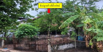 ขายทอดตลาด ที่ดินพร้อมสิ่งปลูกสร้าง ต.หนองหิน อ.เมืองยโสธร จ.ยโสธร