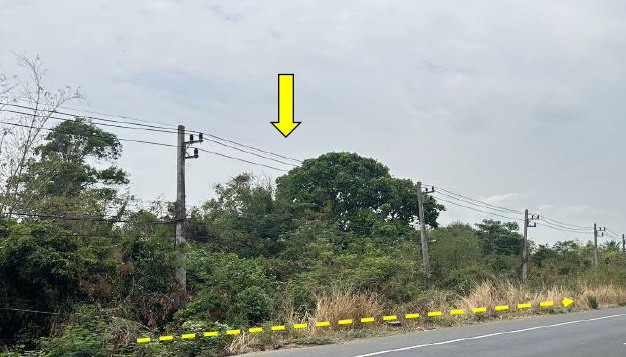 ขายทอดตลาด ที่ดินว่างเปล่า ต.เดิด อ.เมืองยโสธร จ.ยโสธร