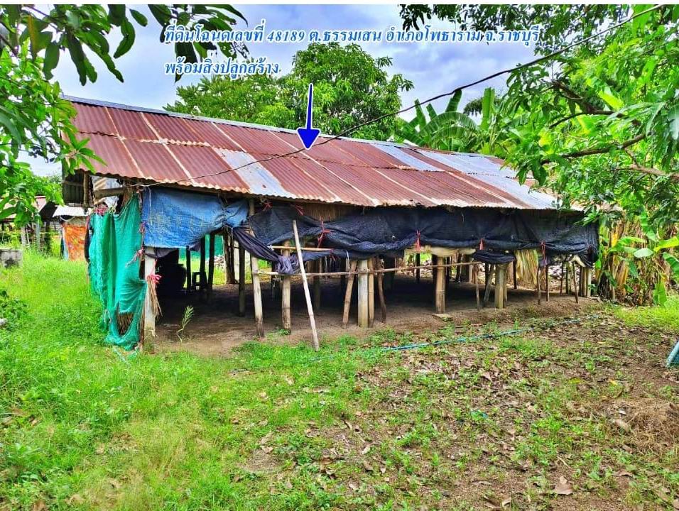 ขายทอดตลาด ที่ดินพร้อมสิ่งปลูกสร้าง ต.ธรรมเสน อ.โพธาราม จ.ราชบุรี