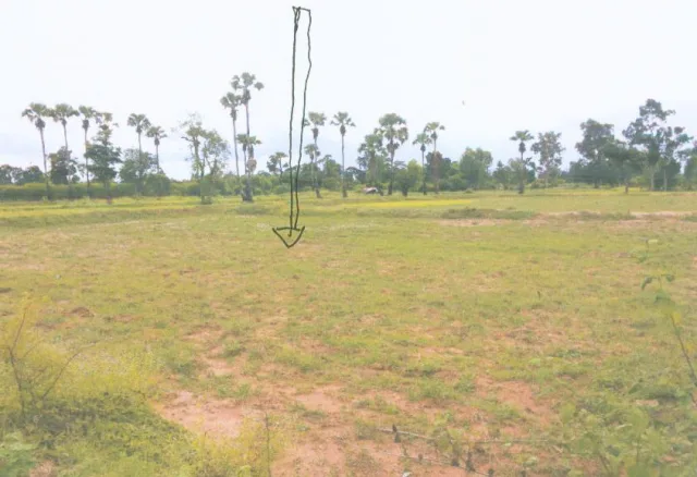 ขายทอดตลาด ที่ดินว่างเปล่า ต.หนองหมื่นถ่าน อ.อาจสามารถ จ.ร้อยเอ็ด