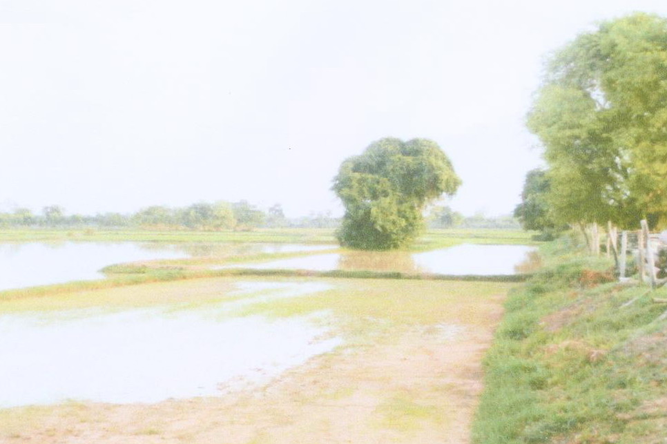 ขายทอดตลาด ที่ดินว่างเปล่า ต.บ่อพันขัน อ.สุวรรณภูมิ จ.ร้อยเอ็ด