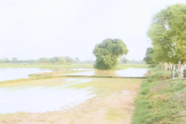 ขายทอดตลาด ที่ดินว่างเปล่า ต.บ่อพันขัน อ.สุวรรณภูมิ จ.ร้อยเอ็ด