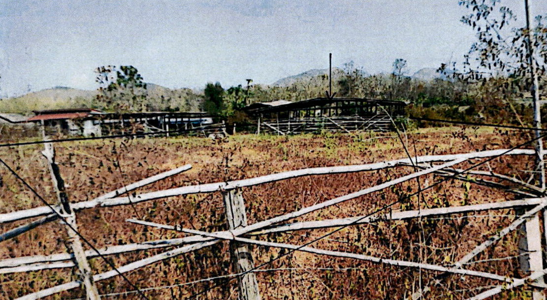 ขายทอดตลาด ที่ดินพร้อมสิ่งปลูกสร้าง ต.ทุ่งงาม อ.เสริมงาม จ.ลำปาง