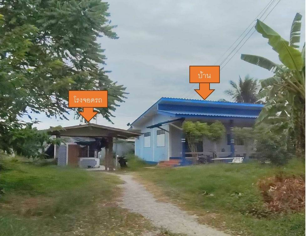 ขายทอดตลาด ที่ดินพร้อมสิ่งปลูกสร้าง ต.บ้านฆ้อง อ.โพธาราม จ.ราชบุรี