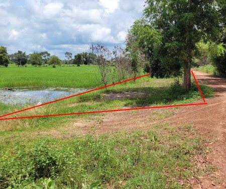 ขายทอดตลาด ที่ดินว่างเปล่า ต.หนองแวง อ.เกษตรวิสัย จ.ร้อยเอ็ด