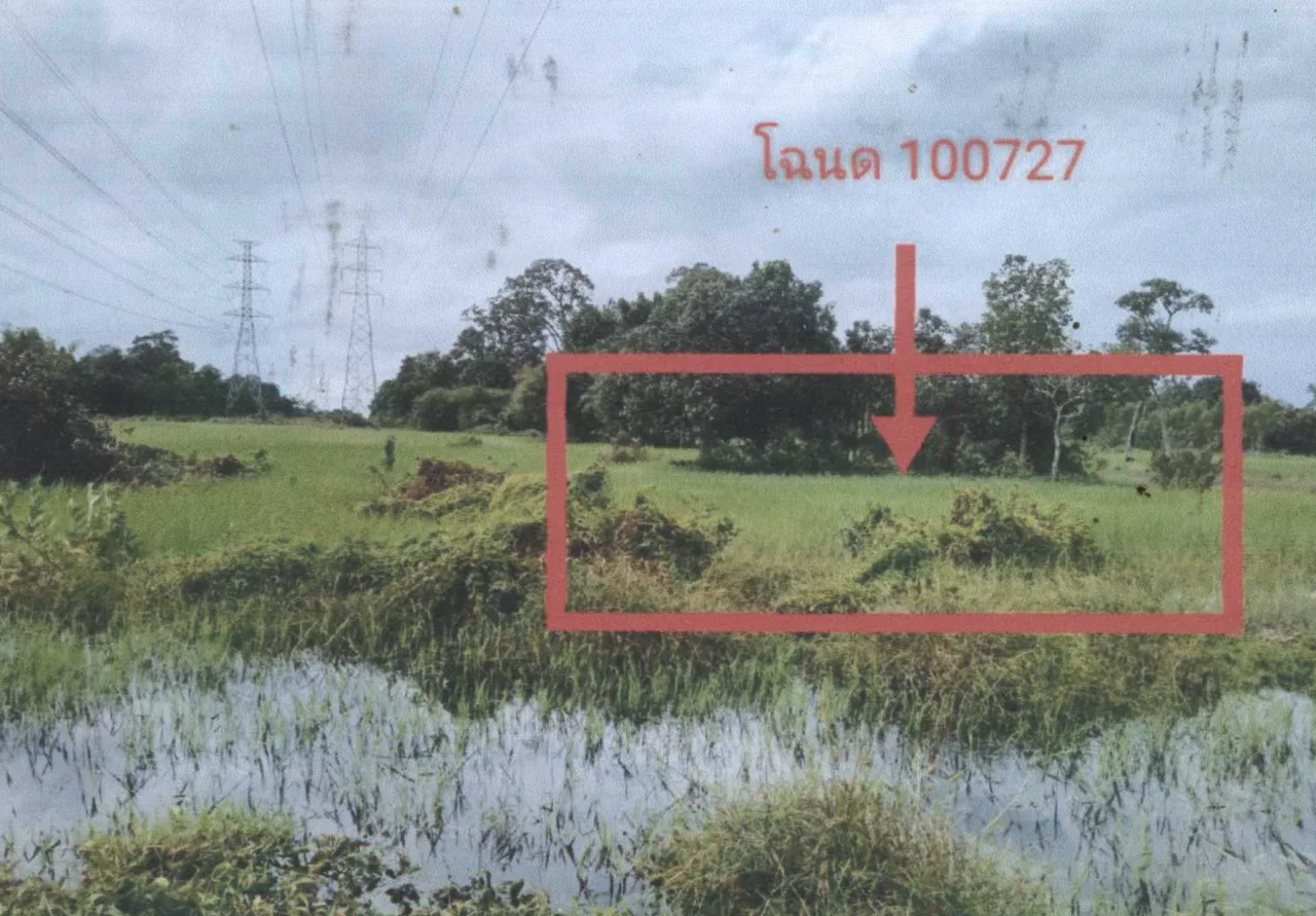 ขายทอดตลาด ที่ดินว่างเปล่า ต.ดูทุ่ง อ.เมืองยโสธร จ.ยโสธร