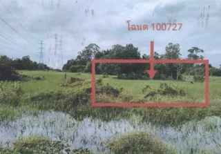 รูปทรัพย์ 1