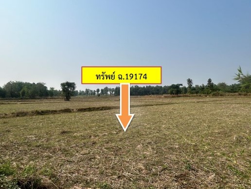ขายทอดตลาด ที่ดินว่างเปล่า ต.มหาไชย อ.สมเด็จ จ.กาฬสินธุ์