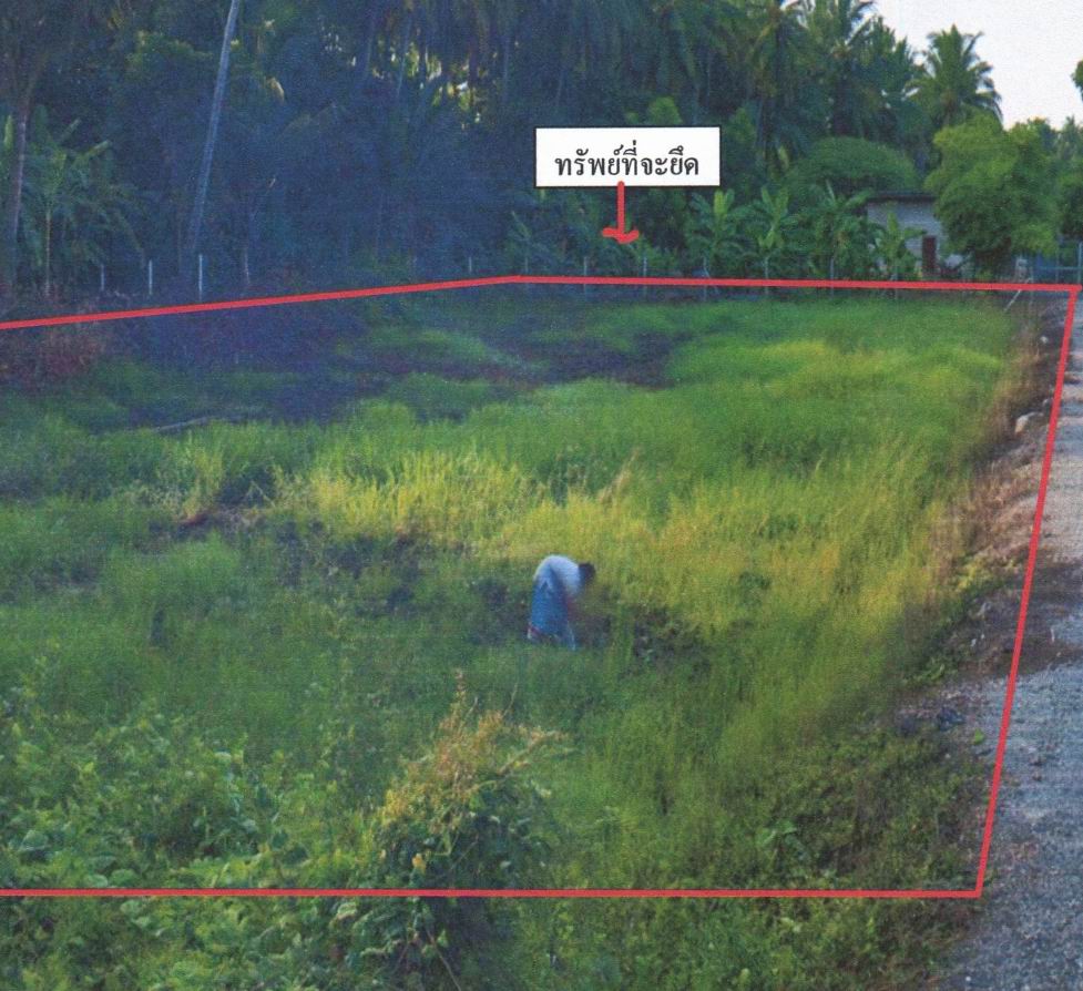 ขายทอดตลาด ที่ดินว่างเปล่า ต.ชำแระ อ.โพธาราม จ.ราชบุรี