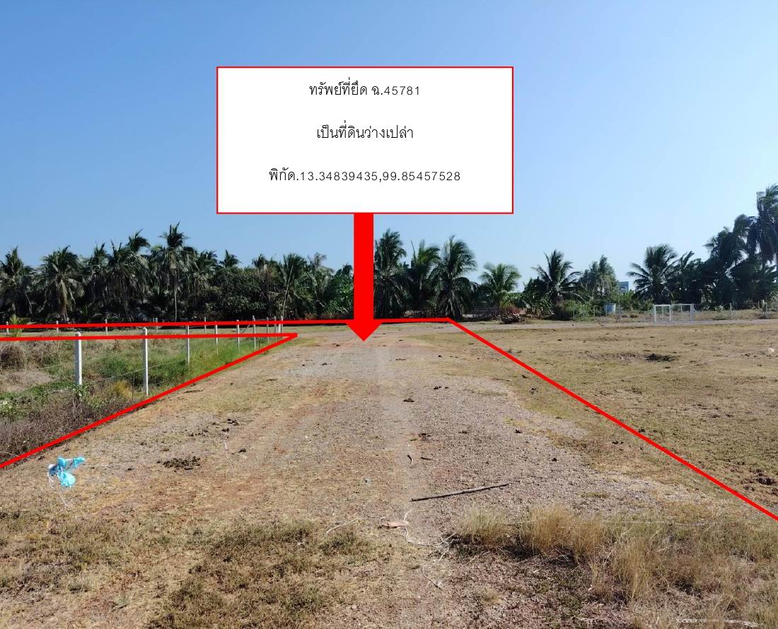 ขายทอดตลาด ที่ดินว่างเปล่า ต.วันดาว อ.ปากท่อ จ.ราชบุรี