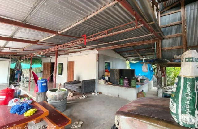 ขายทอดตลาด ที่ดินพร้อมสิ่งปลูกสร้าง ต.เมืองหงส์ อ.จตุรพักตรพิมาน จ.ร้อยเอ็ด