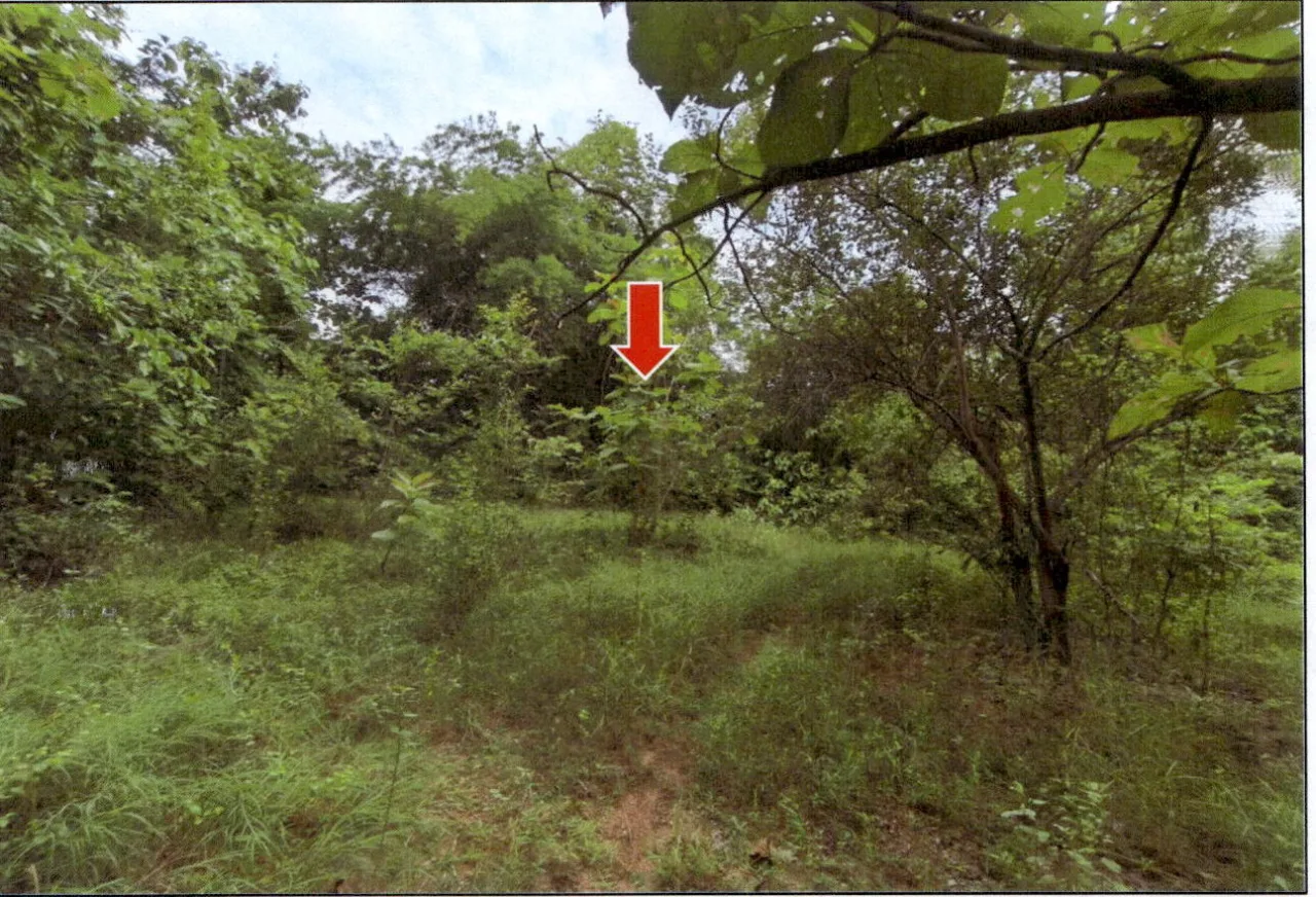 ขายทอดตลาด ที่ดินว่างเปล่า ต.ล้อมแรด อ.เถิน จ.ลำปาง