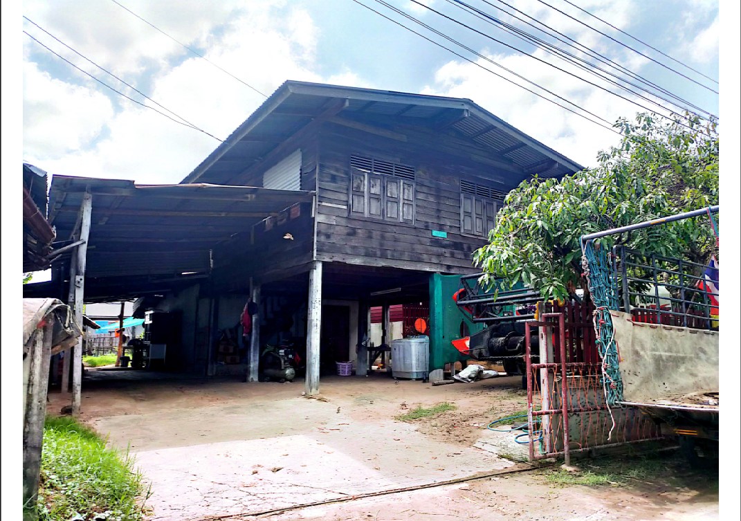ขายทอดตลาด ที่ดินพร้อมสิ่งปลูกสร้าง ต.สิงห์ อ.เมืองยโสธร จ.ยโสธร