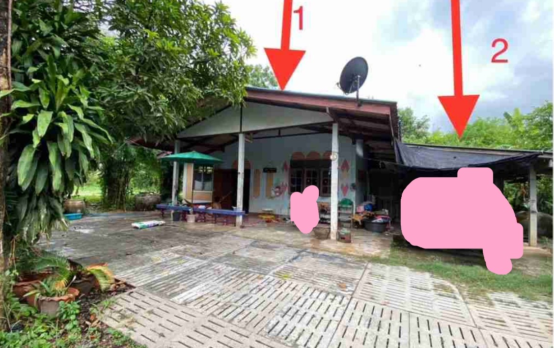 ขายทอดตลาด ที่ดินพร้อมสิ่งปลูกสร้าง ต.ห้วยยางโทน อ.ปากท่อ จ.ราชบุรี