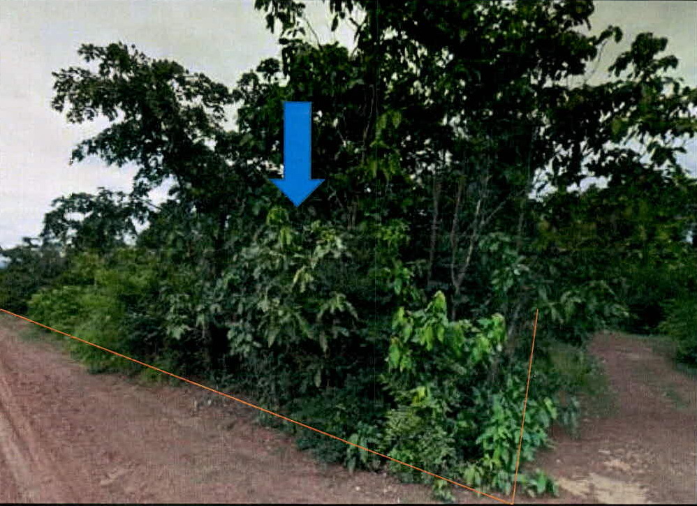 ขายทอดตลาด ที่ดินว่างเปล่า ต.เวียงตาล อ.ห้างฉัตร จ.ลำปาง