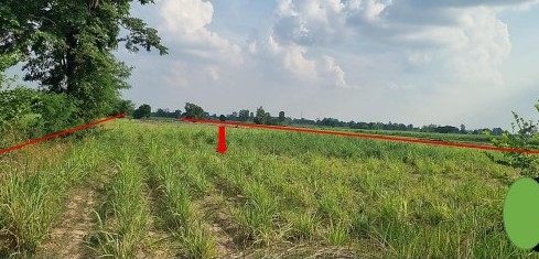 ขายทอดตลาด ที่ดินว่างเปล่า ต.ห้วยเม็ก อ.ห้วยเม็ก จ.กาฬสินธุ์