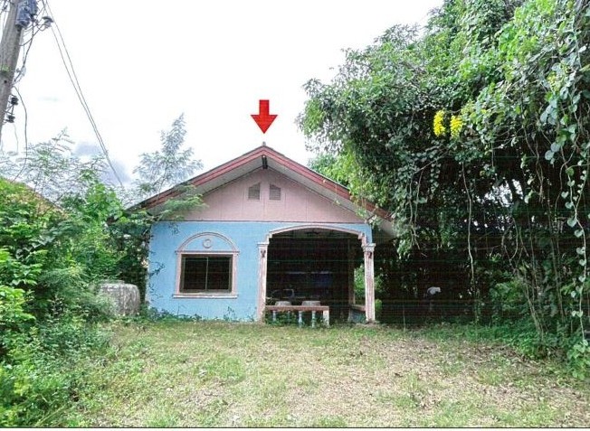 ขายทอดตลาด ที่ดินพร้อมสิ่งปลูกสร้าง ต.บ่อพันขัน อ.สุวรรณภูมิ จ.ร้อยเอ็ด