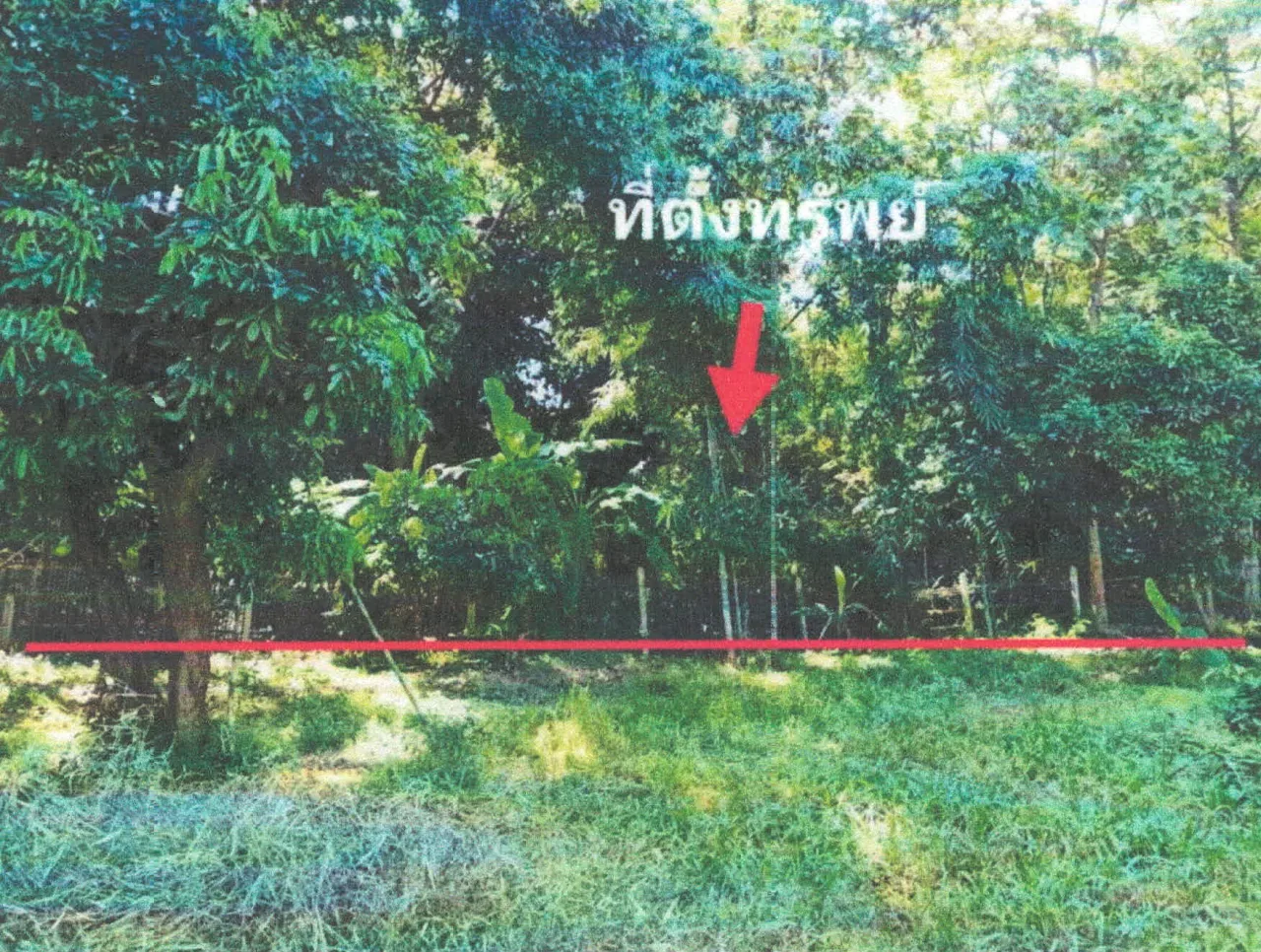ขายทอดตลาด ที่ดินว่างเปล่า ต.ท่าผา อ.เกาะคา จ.ลำปาง