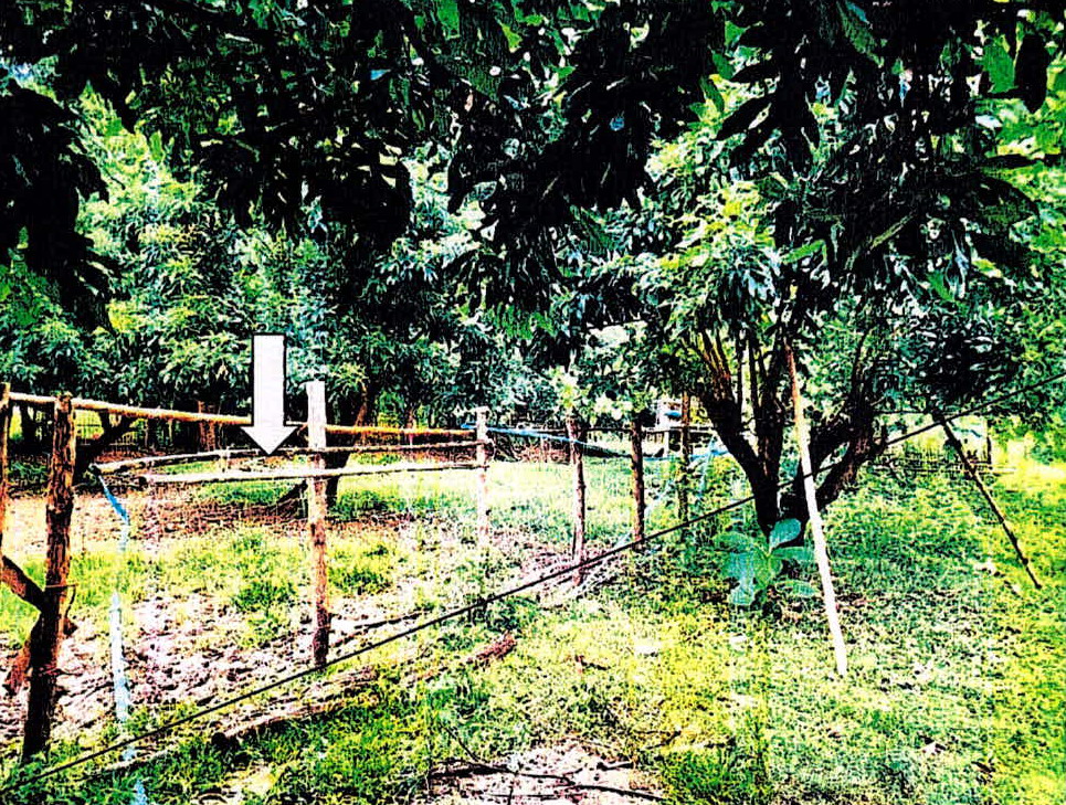 ขายทอดตลาด ที่ดินว่างเปล่า ต.เสริมซ้าย อ.เสริมงาม จ.ลำปาง