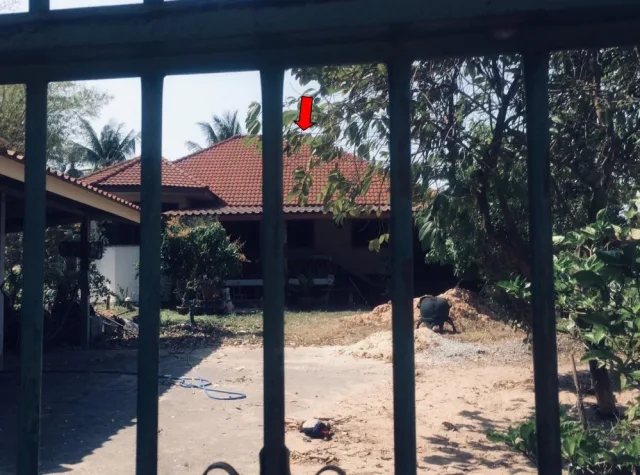 ขายทอดตลาด ที่ดินพร้อมสิ่งปลูกสร้าง ต.โพธิ์สัย อ.ศรีสมเด็จ จ.ร้อยเอ็ด