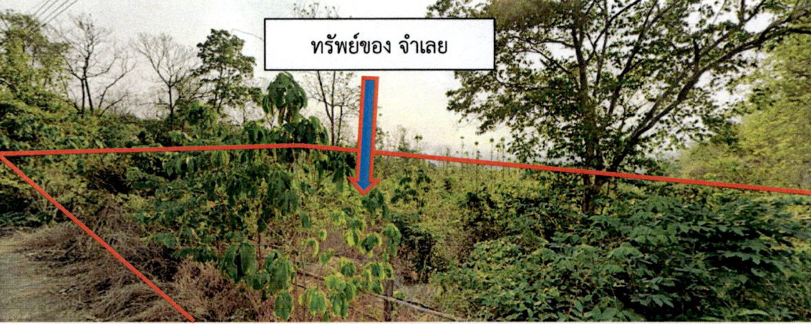 ขายทอดตลาด ที่ดินว่างเปล่า ต.สันดอนแก้ว อ.แม่ทะ จ.ลำปาง