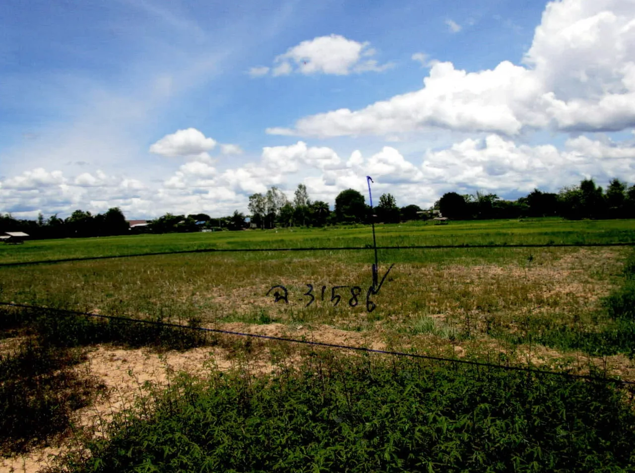 ขายทอดตลาด ที่ดินว่างเปล่า ต.ท่าผา อ.เกาะคา จ.ลำปาง
