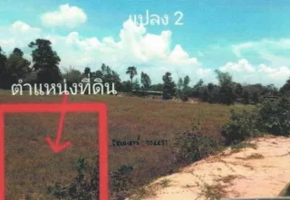 รูปทรัพย์ 2