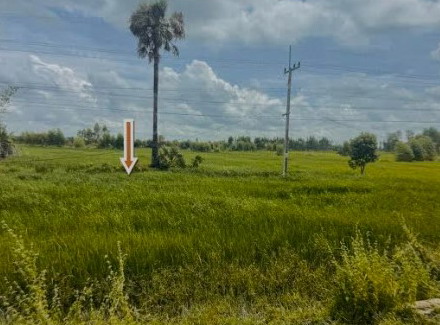 ขายทอดตลาด ที่ดินว่างเปล่า ต.หินกอง อ.สุวรรณภูมิ จ.ร้อยเอ็ด