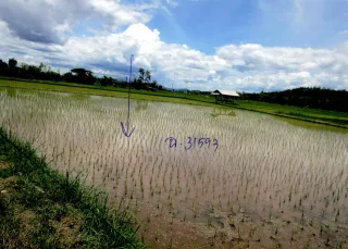 รูปทรัพย์ 2