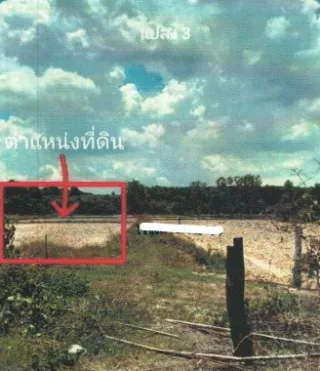 รูปทรัพย์ 3