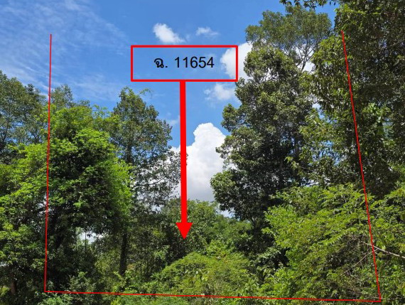 ขายทอดตลาด ที่ดินว่างเปล่า ต.บึงแก อ.มหาชนะชัย จ.ยโสธร