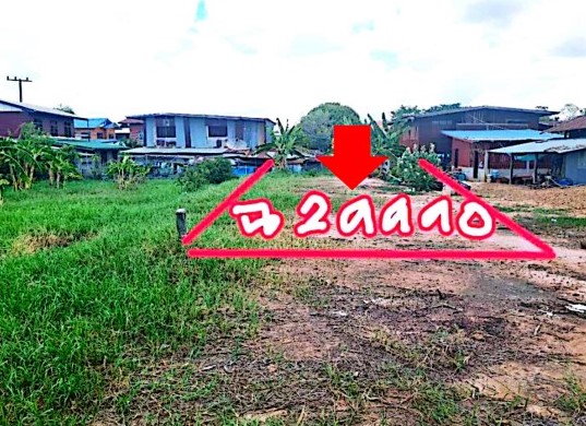 ขายทอดตลาด ที่ดินว่างเปล่า ต.โพนทอง อ.เมืองชัยภูมิ จ.ชัยภูมิ
