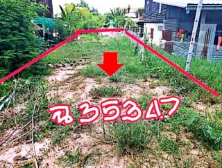 รูปทรัพย์ 2