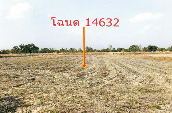 ขายทอดตลาด ที่ดินว่างเปล่า ต.ห้วยแก้ง อ.กุดชุม จ.ยโสธร