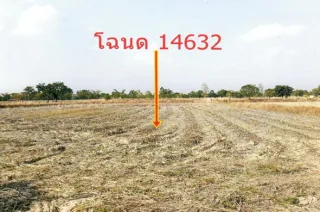 รูปทรัพย์ 1