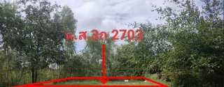 รูปทรัพย์ 3